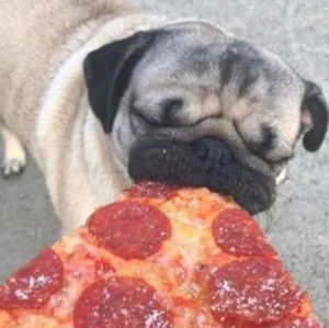 Meet your Posher, Jayden